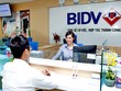 BIDV thông tin về việc cắt 9 điểm Kl992 VIP Trang Chủ 2026 vàng miếng