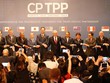 Đại diện các nước tham gia ký kết CPTPP tại Chile ngày 8/3. Ảnh: Reuters