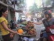 Giá vải đầu mùa năm nay dao động từ 25.000 - 35.000 đồng/kg, bằng nửa giá so với năm ngoái. (Ảnh: Hồng Vân).