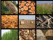 Các phụ phẩm nông nghiệp sẽ là nguyên liệu đầu vào của công nghệ xử lý rác. 