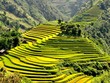 Ảnh minh hoạ. Nguồn: Internet.