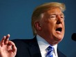 Những quyết định bảo hộ mậu dịch của D. Trump đang gây nhiều ảnh hưởng đến thương mại toàn cầu