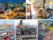 Phản ứng chính sách trước chu kỳ khủng hoảng 10 năm