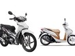 Wave Alpha và Vision vô địch tại 2 phân khúc, Honda Việt Nam “bỏ túi” gần 1.950 tỷ đồng