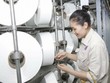 PVTEX lên kế hoạch vận hành toàn bộ xưởng Kl994 nhà cái bóng đá world cup sợi DTY