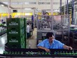 Tỷ phú Thái Lan quyết số phận Sabeco và Sá xị Chương Dương