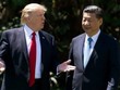 Tổng thống Mỹ Donald Trump (trái) và Chủ tịch Trung Quốc Tập Cận Bình ở Mar-a-Lago, Florida, tháng 4/2017. Ảnh: AFP.