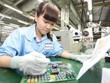 Khối Kl991.com World Cup 2026 Chính Thức FDI hiện có đóng góp quan trọng vào GDP của Việt Nam. Ảnh: Đức Thanh.