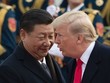 Tổng thống Donald Trump và Chủ tịch Trung Quốc Tập Cận Bình (Ảnh: Reuters).