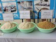 Xuất khẩu gạo tăng gần 30% về giá trị so với cùng kỳ 2017 - Ảnh: VGP/Đỗ Hương.