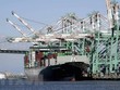 Cảng hàng hóa ở San Pedro, California, Mỹ. (Nguồn: EPA-EFE/TTXVN).