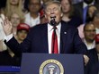 Tổng thống Mỹ Donald Trump trong cuộc vận động Kl991.com tải ứng dụng hôm 31/7 tại thành phố Tampa, bang Florida, Mỹ. Ảnh: AP.