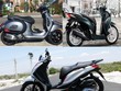 Xe tay gas cao cấp có giá từ 50-400 triệu đồng vẫn được nhiều người hỏi mua.