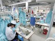 Chậm chuyển giao vốn 99Kl99 trực tiếp đá gà cho SCIC: Trách nhiệm thuộc về ai?