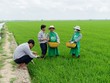 Bước ngoặt chiến lược của Lộc Trời