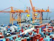 Thủ tướng chỉ thị triển khai giải pháp phát triển Kl994 nhà cái bóng đá world cup, thúc đẩy xuất khẩu.