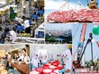 [Infographics] Những thành tựu Kl992 cổng game cá cược-Trang Chủ KL99Com Số 1 Link Đăng Ký KL999 của đất nước
