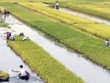 Kl991.com nạp rút nhanh nông nghiệp - nông thôn: Hướng đến sự bền vững Kl991.com nạp rút nhanh cho người nghèo