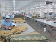 EVE phát hành thành công 10,1 triệu USD Kl99kl Hoàn Trả Vô Tận chuyển đổi