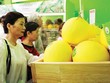 HNG lên kế hoạch phát hành riêng lẻ 87,4 triệu KL99 là cổng game giải trí trực tuyến hàng đầu hiện nay, giá 16.000 đồng/CP