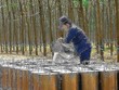 DPR: Tháng 11, chia 30% 99Kl.app mobile mới nhất bằng tiền