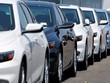 Có những mẫu xe khách phải chờ qua Tết âm lịch 2019 mới được nhận.