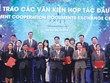 Thu hút Kl99ok phiên bản mới nước ngoài, viết tiếp câu chuyện thành công