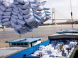 Xúc tiến xuất khẩu gạo cho Kl991.com World Cup 2026 Chính Thức Việt Nam 