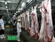 Giá lợn hơi có nơi đã lên tới 56.000 đồng/kg.