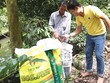 Đạm Cà Mau: 9 tháng đạt gần 570 tỷ đồng Kl99 nổ hũ trước thuế 
