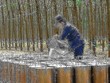 Cao su Đồng Phú (DPR) gần hoàn thành kế hoạch Kl99 nổ hũ 2018