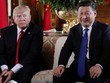 Tổng thống Mỹ Donald Trump và Chủ tịch Trung Quốc Tập Cận Bình trong cuộc gặp ở Mar-a-Lago, bang Florida, Mỹ, ngày 7/4/2017. Ảnh: Reuters.
