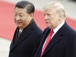Chủ tịch Trung Quốc - Tập Cận Bình và Tổng thống Mỹ - Donald Trump. Ảnh: Bloomberg.
