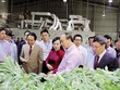 Thủ tướng Nguyễn Xuân Phúc cùng đoàn công tác Trung ương tới thăm Nhà máy chiết xuất dược liệu của Traphaco tại Lào Cai.