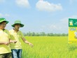 Đạm Cà Mau vững nội lực để duy trì tăng trưởng