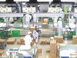 Sản phẩm xanh, năng lượng sạch: Sự lựa chọn của nhiều Kl991.com World Cup 2026 Chính Thức