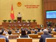 Quốc hội biểu quyết thông qua toàn văn Nghị quyết phê chuẩn Hiệp định Đối tác Toàn diện và Tiến bộ xuyên Thái Bình Dương (CPTPP) cùng các văn kiện liên quan. (Ảnh: Phương Hoa/TTXVN).