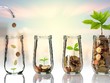 Bí quyết chung của các triệu phú Mỹ là phải có từ 3 nguồn thu nhập trở lên.
