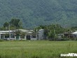 Trong thời gian giữ chức vụ Chủ tịch UBND quận Liên Chiểu, cả ông Thị và ông Hưng đã thiếu kiểm tra, phát hiện và xử lý kịp thời các hành vi vi phạm, để xảy ra tình trạng xây dựng không phép kéo dài tại khu vực quy hoạch dự án ga 99Kl.app khuyến mãi hot. 