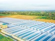PAN muốn tăng sở hữu tại Thực phẩm Sao Ta (FMC)