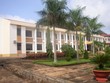 Cao su Đồng Phú (DPR): 11 tháng đạt 272,5 tỷ đồng  Kl99 nổ hũ