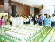 Khơi thông các dòng chảy