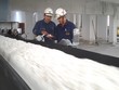 Nhà máy Alumin Nhân Cơ đạt 100% công suất trước dự kiến