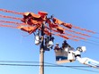 Ảnh Internet