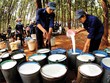 Cao su Phước Hòa (PHR) lãi trước thuế 621,6 tỷ đồng