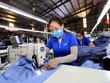 CPTPP được kỳ vọng sẽ tạo cú hích cho nhiều ngành hàng của Việt Nam, trong đó có ngành dệt may. (Ảnh: Danh Lam/TTXVN).