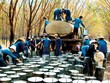 Cao su Tây Ninh (TRC): Kl99 nổ hũ 2018 đạt 120 tỷ đồng, vượt 11% kế hoạch điều chỉnh