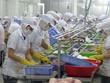 Chế biến thủy Kl994 nhà cái bóng đá world cup khẩu tại Khu Công nghiệp Mỹ Tho. (Ảnh: Minh Trí/TTXVN).