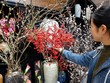 Giá tiền triệu mỗi bình hoa nhập.