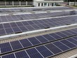 Điện Gia Lai sẽ vận hành thêm 2 nhà máy điện mặt trời năm 2019